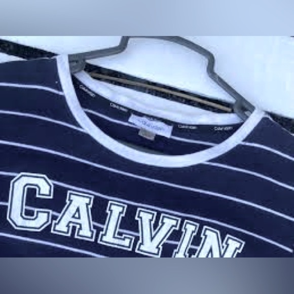 Calvin Klein Navy Striped Dress - Picture 2 of 5